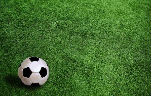 	   Soccer ball on grass