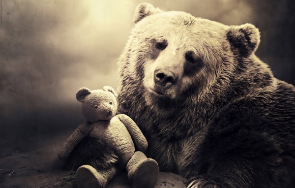 Медведь с игрушкой