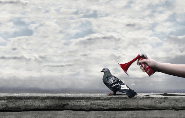 Гудок у уха городского голубя