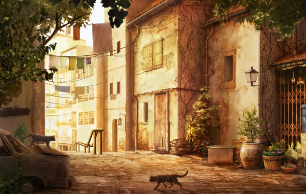 Кошка переходит дорогу