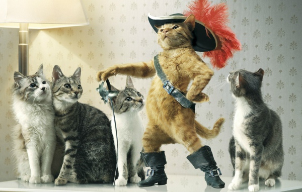 Коты с предводителем