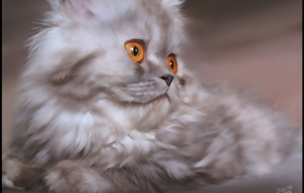 Серебристый  котенок