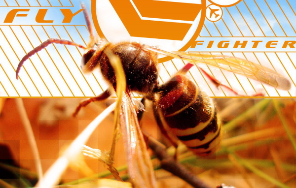 Осиная талия