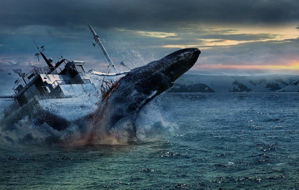 Кит мстит китобоям