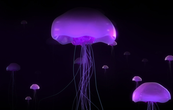 Розовые медузы