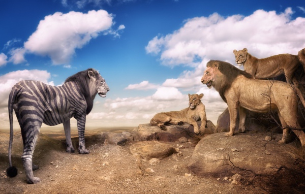 Необычный окрас льва