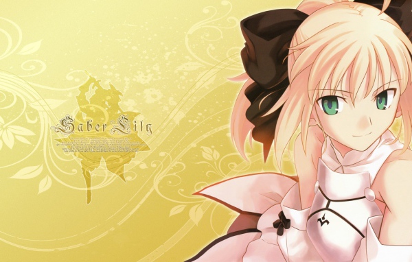 Девушка Сейбер из аниме Fate Series