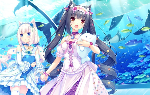 Девушки аниме в океанариуме, Neko Para