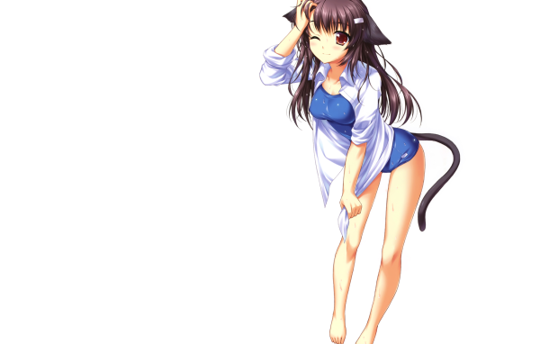 Девушка кошка, аниме Neko Para