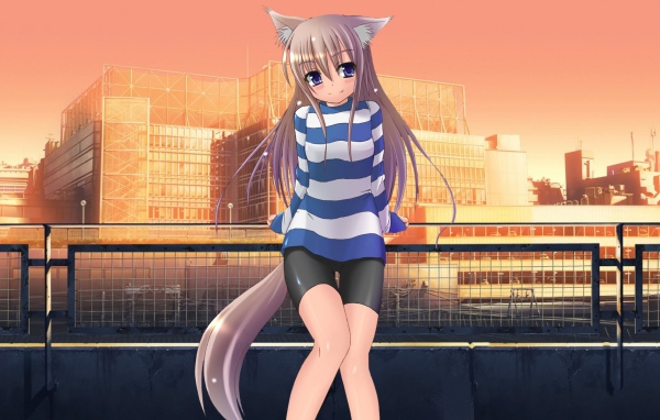 Девочка кошка на фоне зданий, аниме