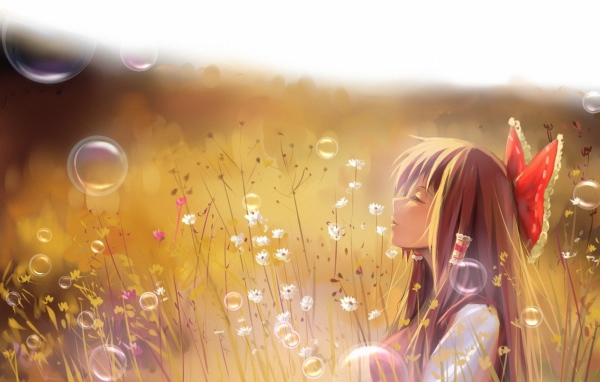 Девочка в поле, аниме Touhou Project