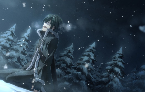 Одинокий герой аниме Sword Art Online