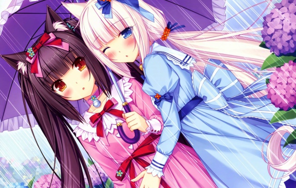 Две подружки под зонтом, аниме Neko Para