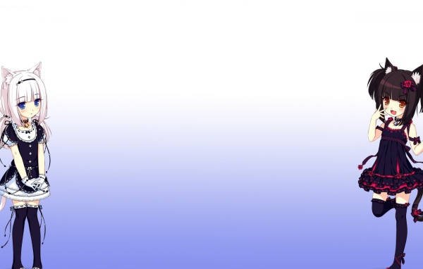 Две девушки аниме Neko Para