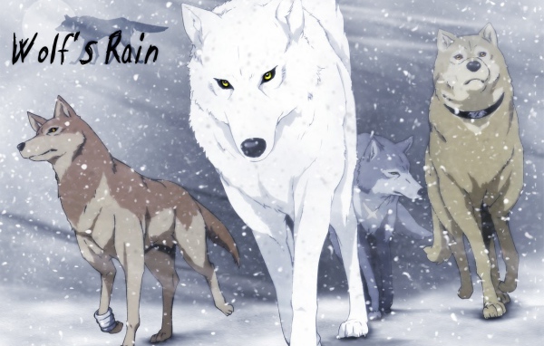 Волки в аниме Wolf's Rain
