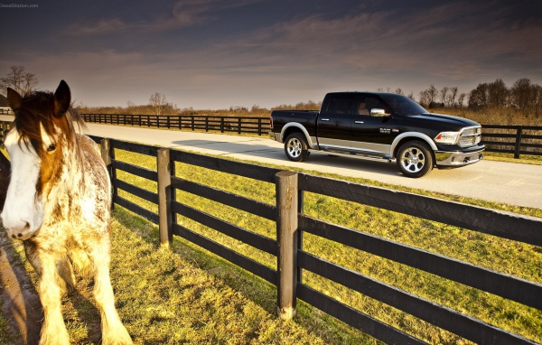 Черный пикап на ферме среди загонов