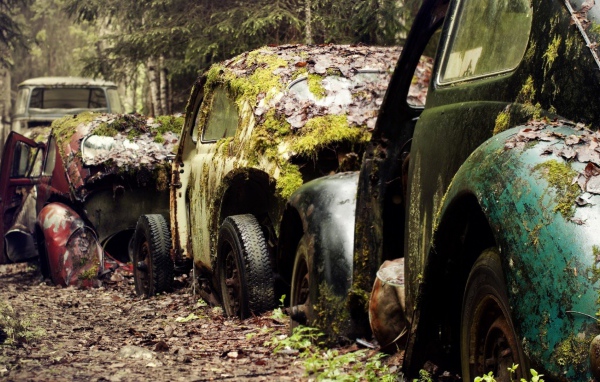 Остатки старых брошенных автомобилей