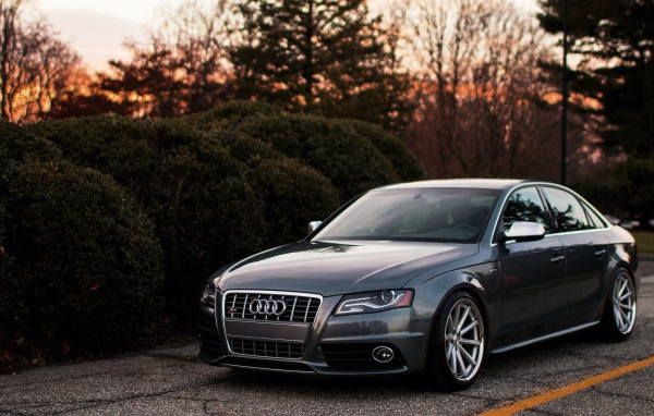 Темно серый Ауди у живой изгороди