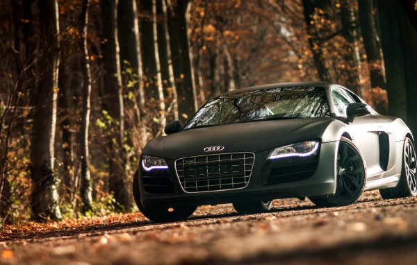 Двухдверный черный Ауди в лесу