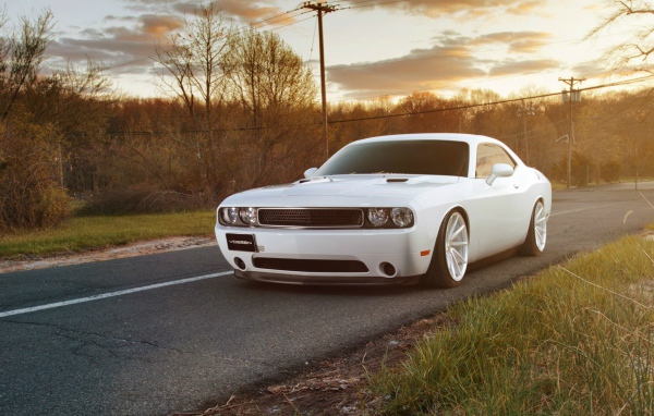 Белый Dodge Challenger на дороге
