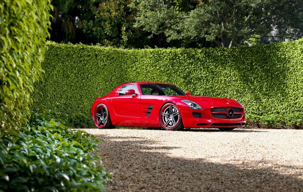 Красный Mercedes у забора из зелени