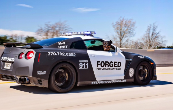Полицейский Nissan GT-R