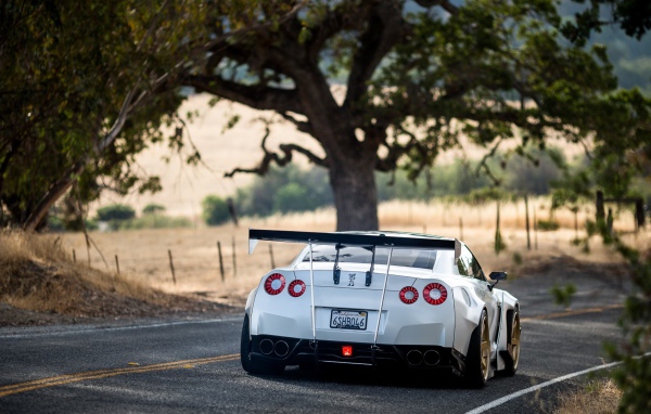 Белый Nissan GT-R на загородном шоссе