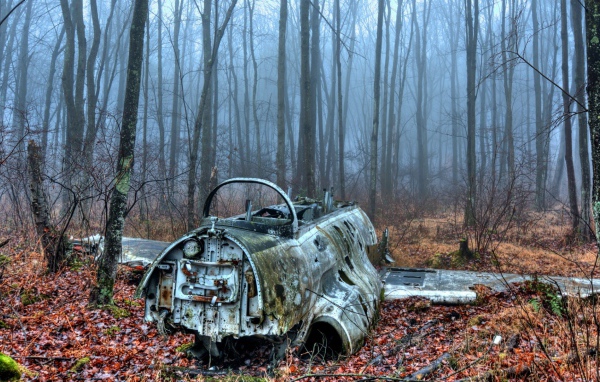 Обломки самолета в лесу