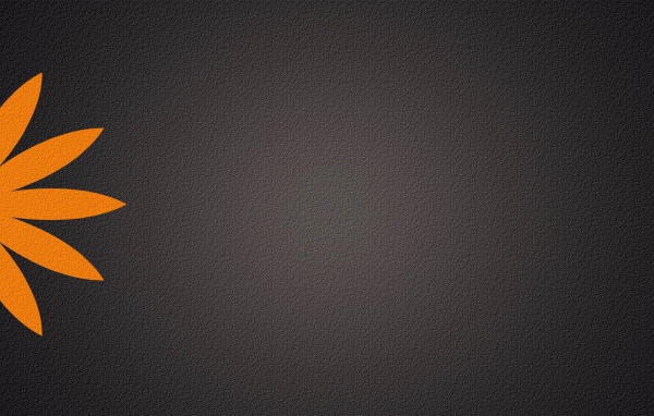 Серый фон, оранжевый цветок