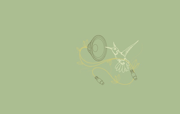 Колибри поет, серый фон