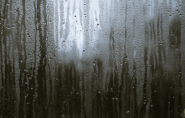 Свет за мокрым стеклом