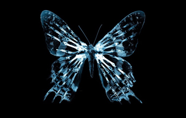 Неоновая фигура бабочки