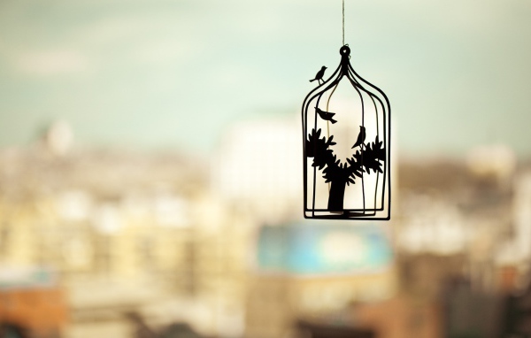 Силуэт клетки для птиц на нечетком фоне