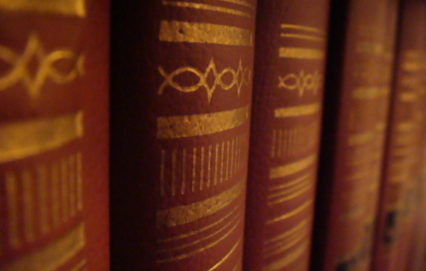 Корешки книг