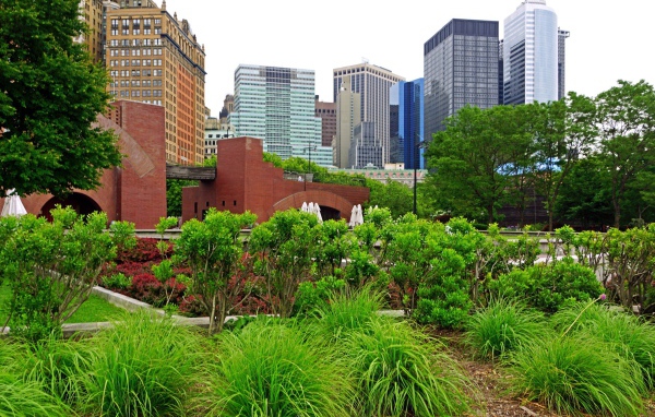 Зеленый парк в центре города