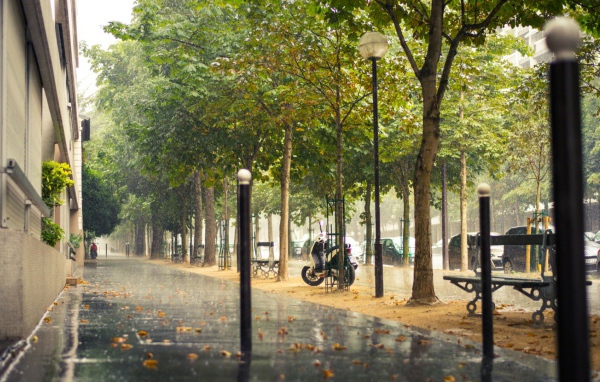 Улица Парижа во время дождя