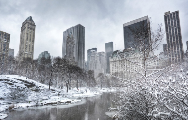 Деревья покрыты инеем в Центральном парке Нью-Йорка