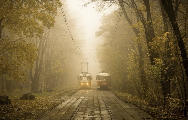 Два трамвая на линии в городском парке