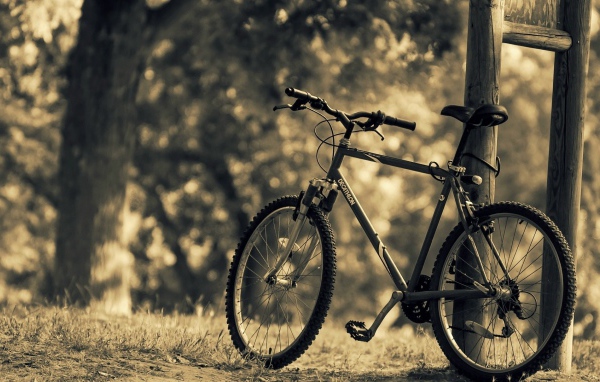 Велосипед стоит у стойки в парке