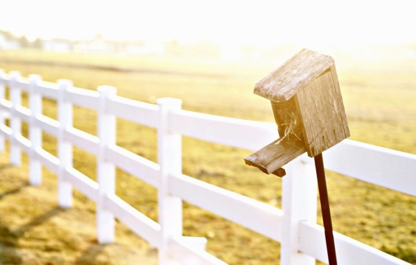 Птичья избушка на заборе