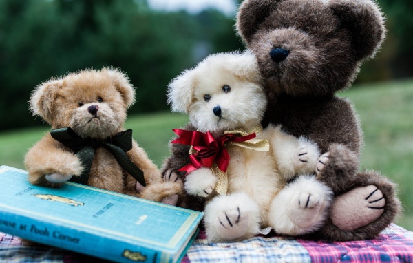 Семейство плюшевых медведей с книгой