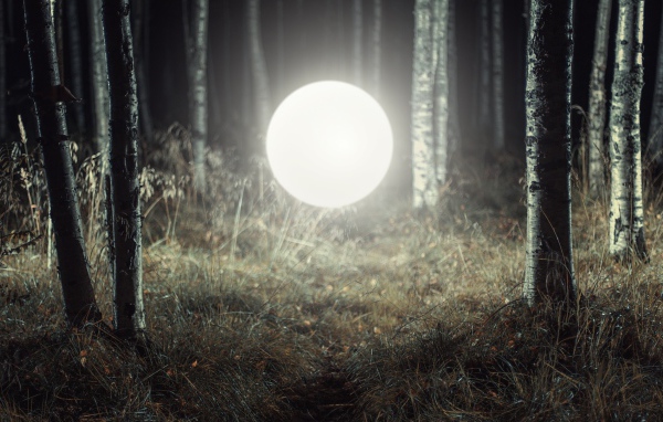 Светящийся шар посреди леса