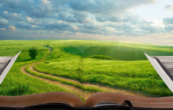 В книге целый мир