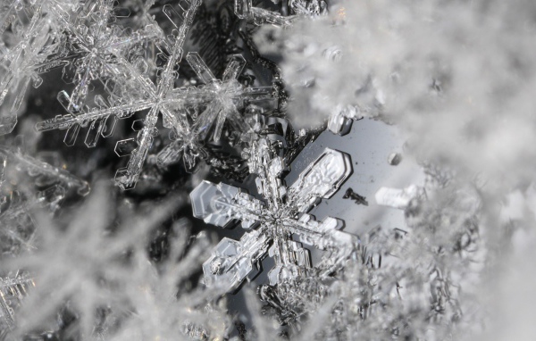 Макро фото снежинок