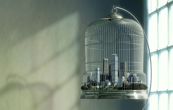Мегаполис в птичьей клетке