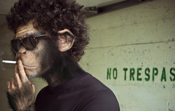 Обезьяна курит сигарету