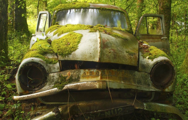 Покрытый мхом корпус автомобиля