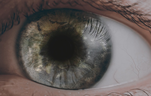 Открытый глаз человека