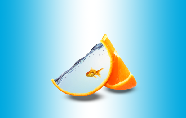 Orange slice as aquarium