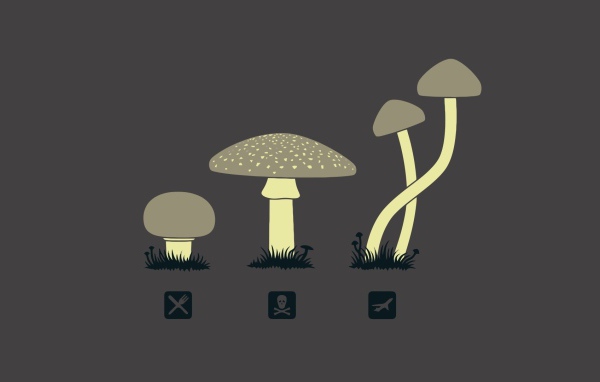 Предназначение разных грибов